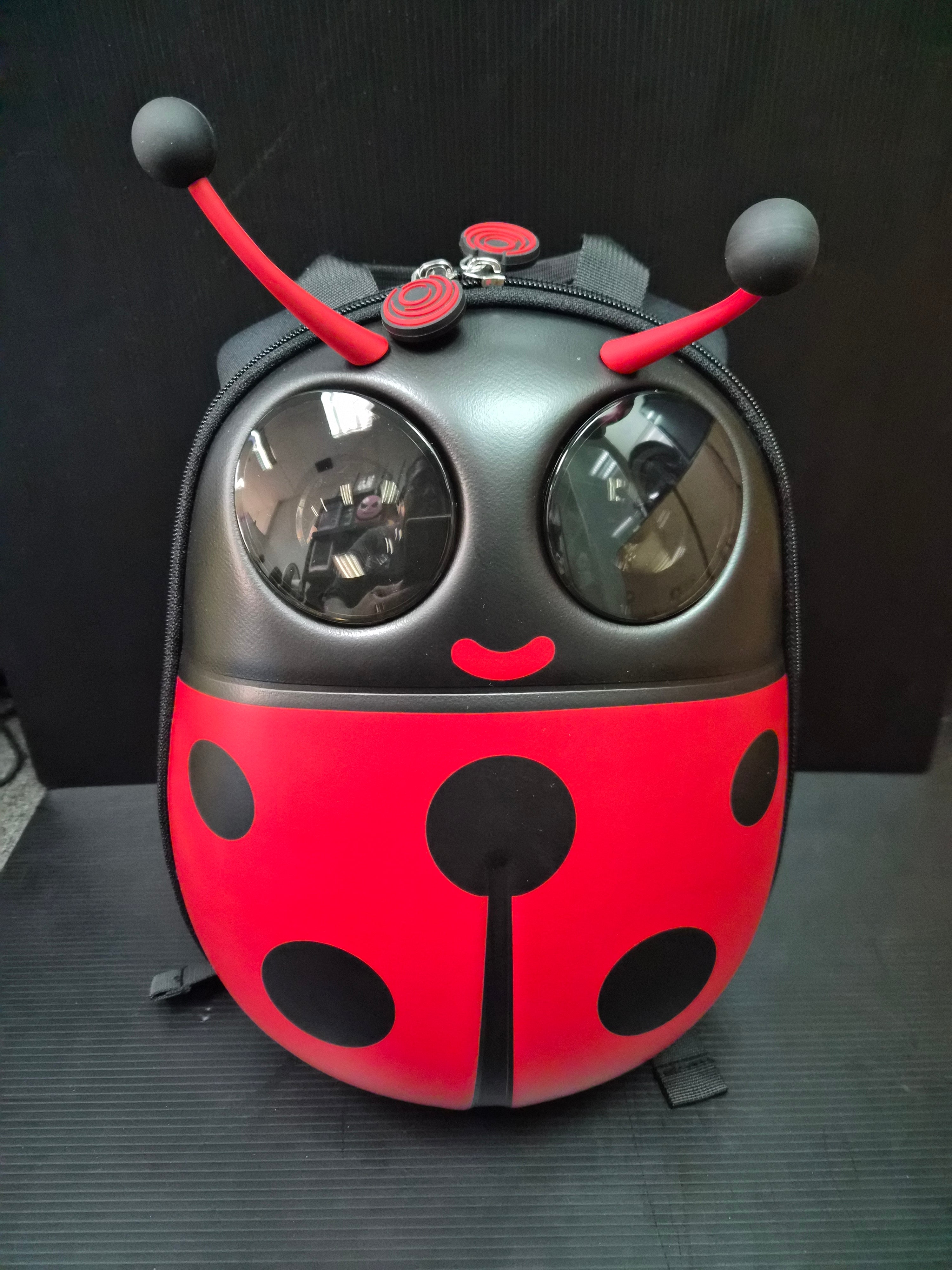 🐞 Cute Ladybug Kids Led Backpack